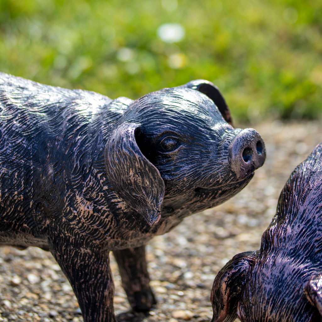 Grazing Pig Garden Ornament - Looking Up