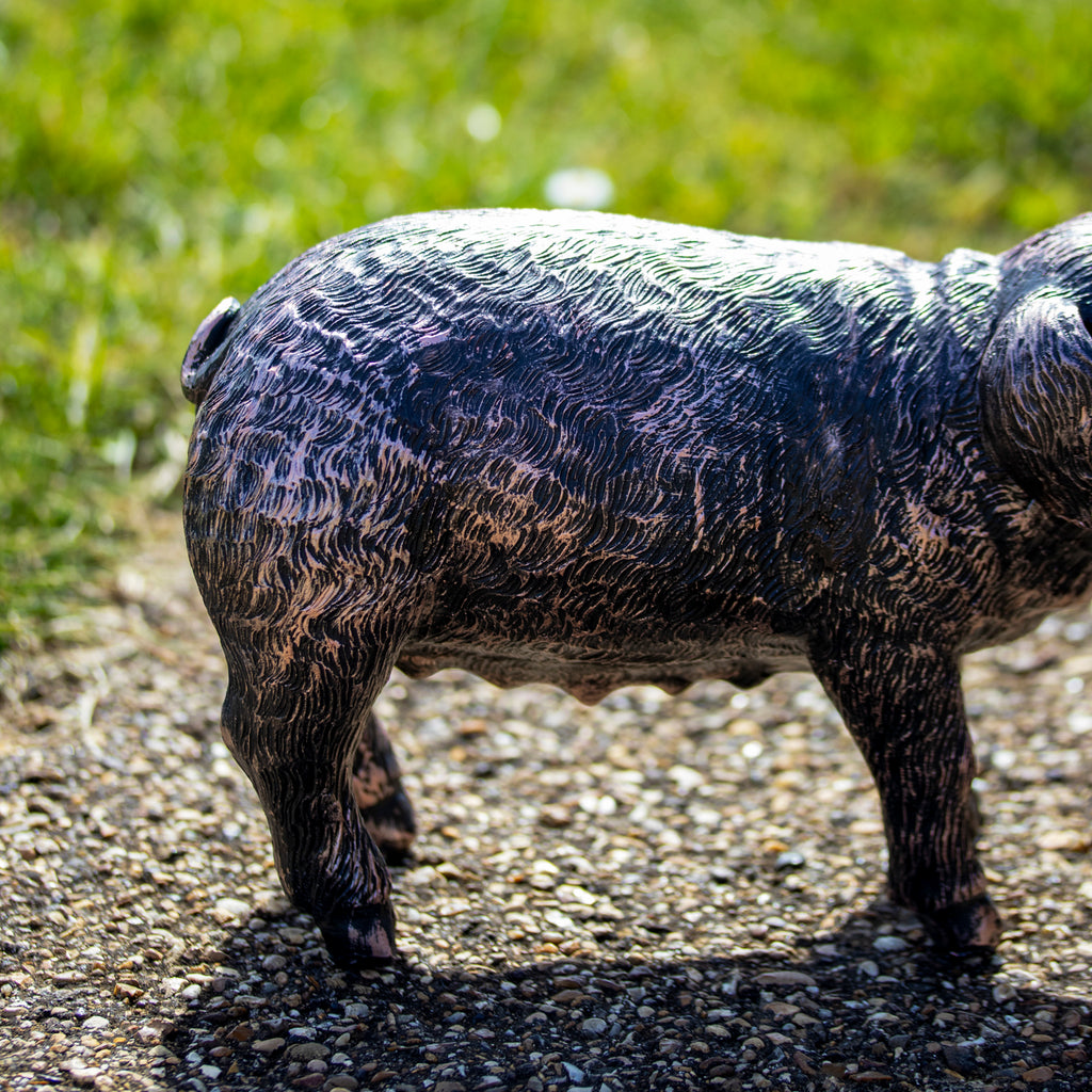 Grazing Pig Garden Ornament - Looking Up
