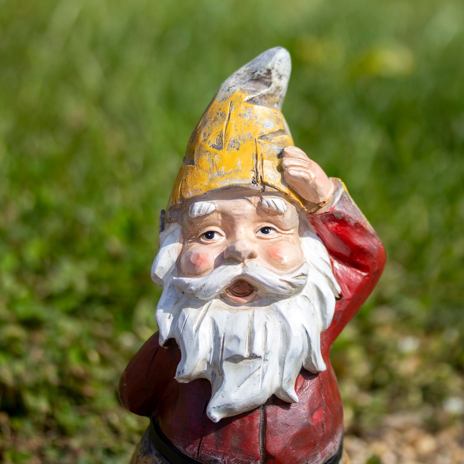 Quizzical Garden Gnome Statue