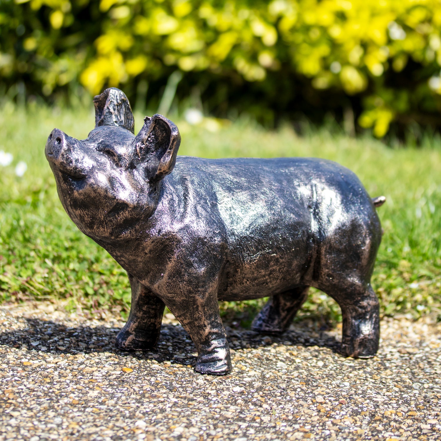 Bronze Curious Pig Garden Ornament