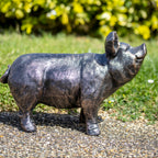 Bronze Curious Pig Garden Ornament