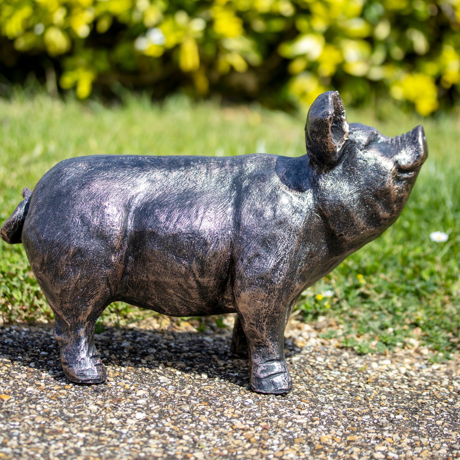 Bronze Curious Pig Garden Ornament