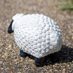 White Curly Sheep Garden Ornament