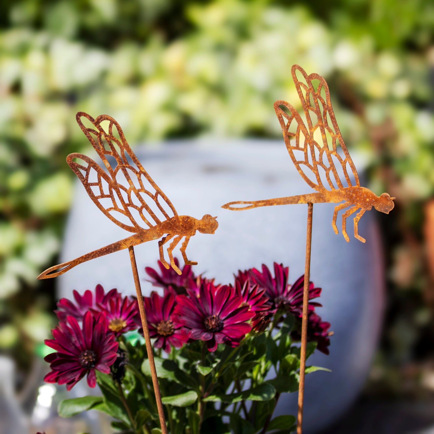 Set Of 2 Rusty Dragonfly Garden Stakes