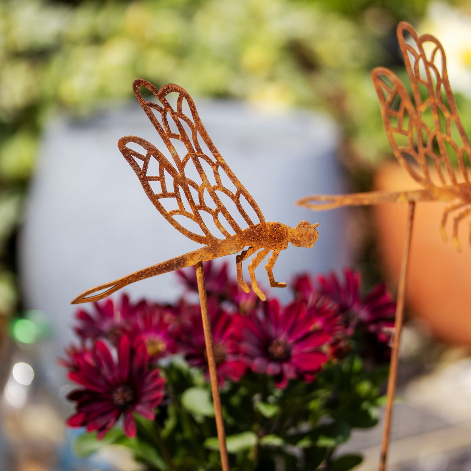 Set Of 2 Rusty Dragonfly Garden Stakes