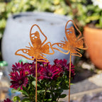 Set Of 2 Rusty Butterfly Garden Stakes