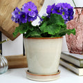Cream Reactive Glaze Plant Pot