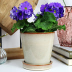 Cream Reactive Glaze Plant Pot