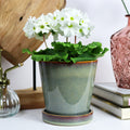 Green Reactive Glaze Plant Pot