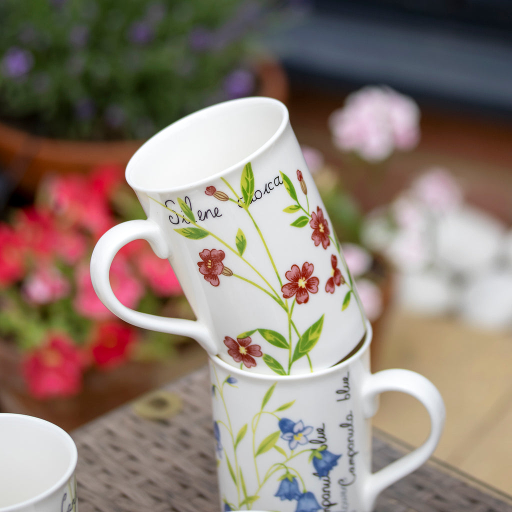 Set Of 4 Fine China Botanical Floral Mugs