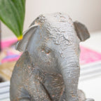 Muddy Baby Elephant Ornament