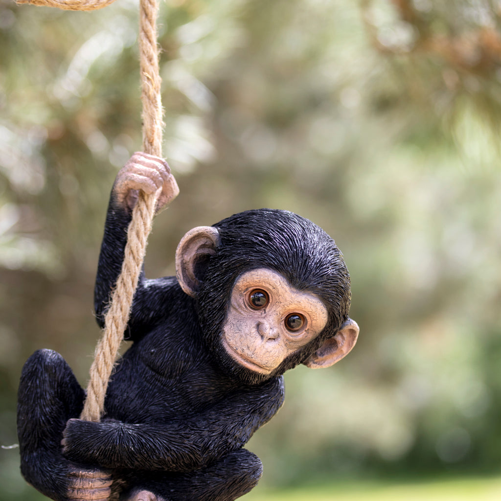 Hanging Baby Monkey On Rope Ornament