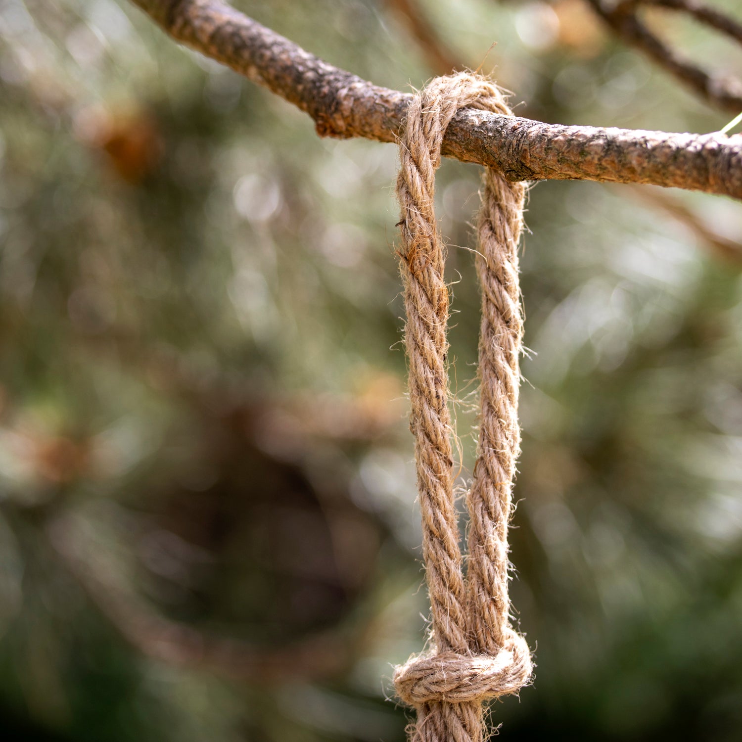 Hanging Baby Monkey On Rope Ornament