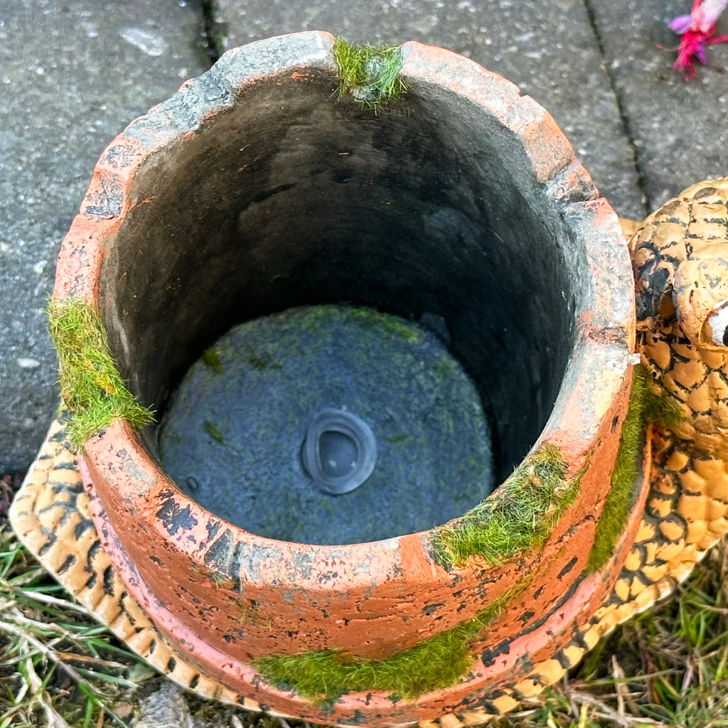 Cement Snail Planter With Clay Pipe Shell