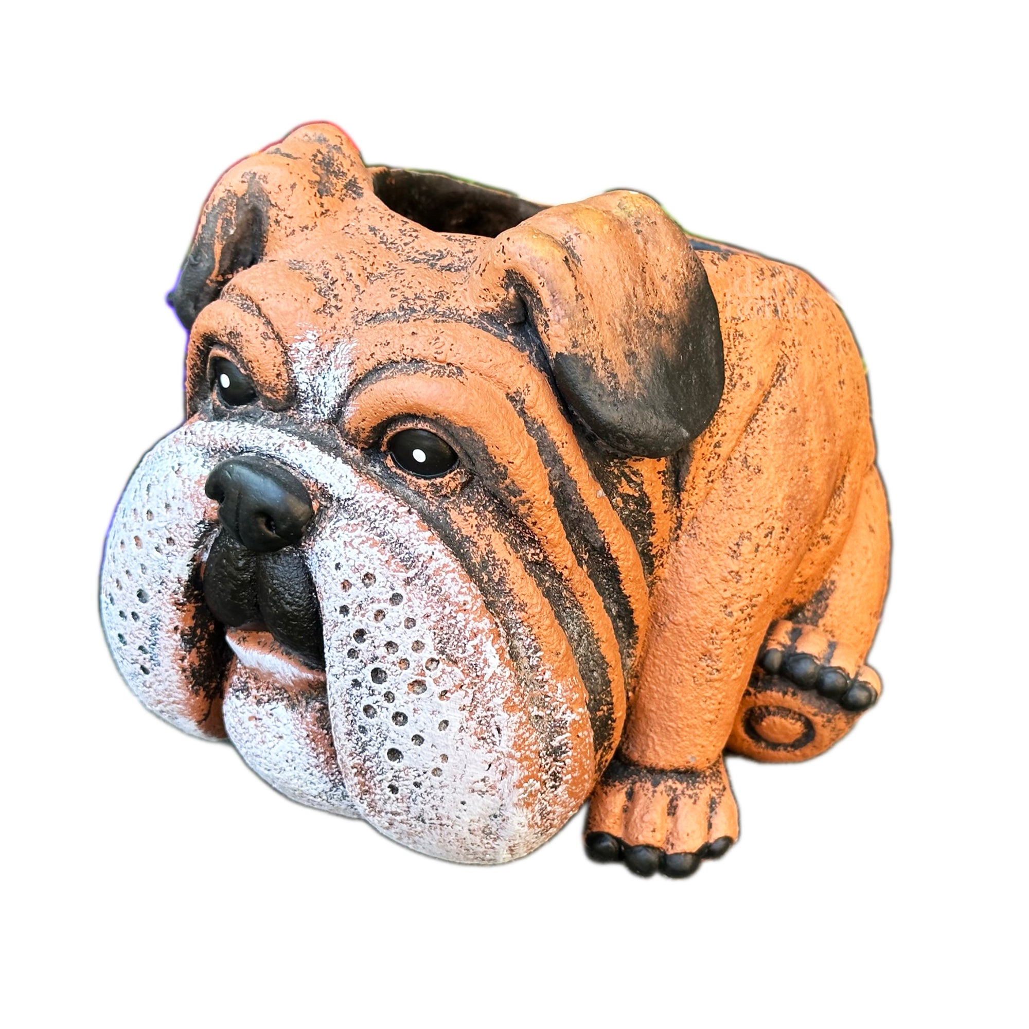 Pflanzgefäß „Englische Bulldogge“ aus Zement