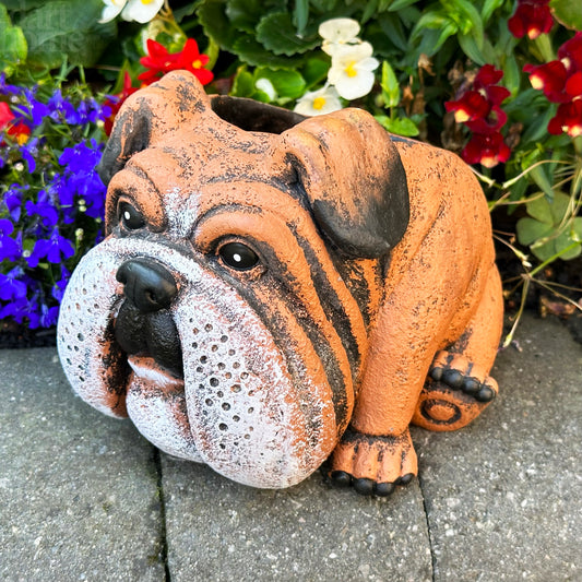 Pflanzgefäß „Englische Bulldogge“ aus Zement