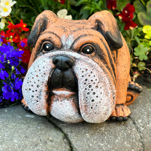 Pflanzgefäß „Englische Bulldogge“ aus Zement