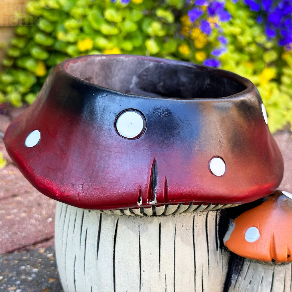 Colourful Toadstool Cement Planter