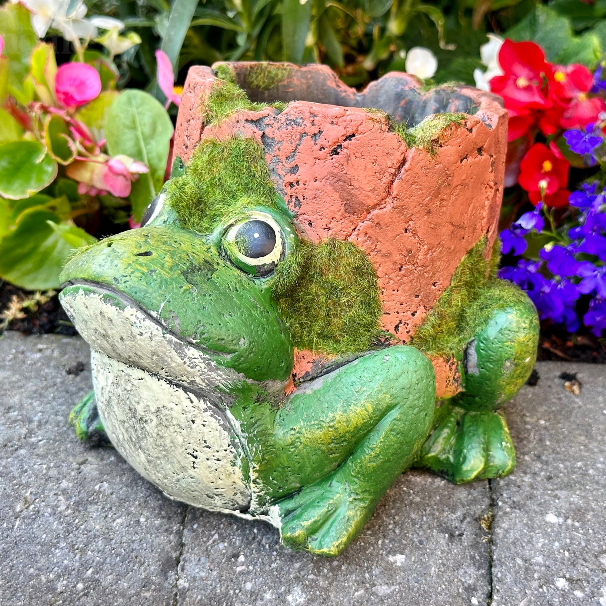 Zementfrosch-Pflanzgefäß mit Tonpfeife