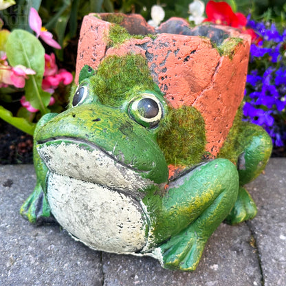 Cement Frog Planter With Clay Pipe