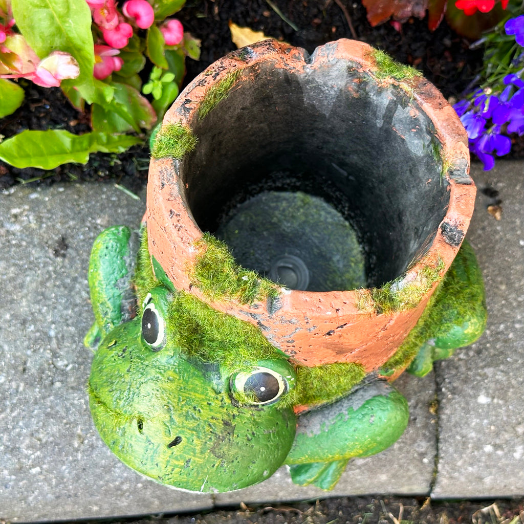 Zementfrosch-Pflanzgefäß mit Tonpfeife