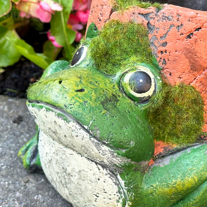 Cement Frog Planter With Clay Pipe