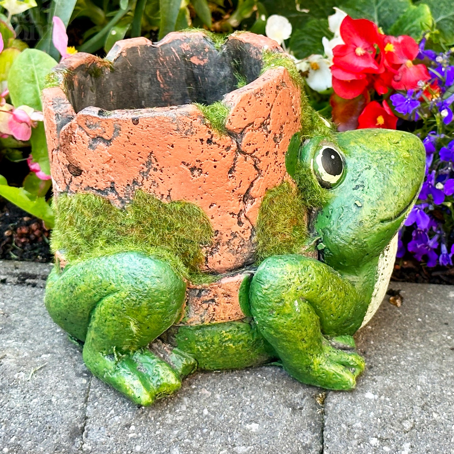 Cement Frog Planter With Clay Pipe