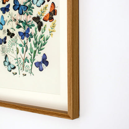 Framed Blue Butterflies Wall Art