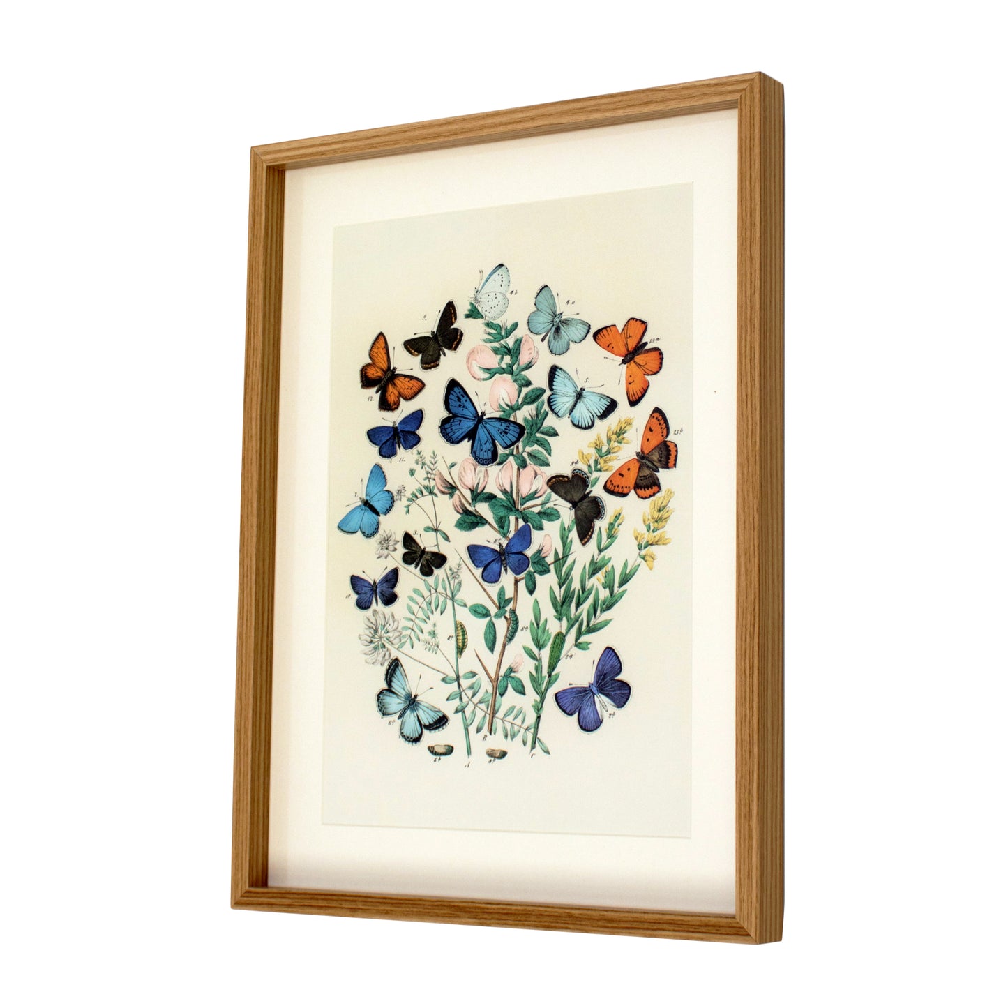 Framed Blue Butterflies Wall Art