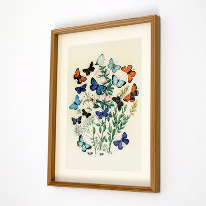 Framed Blue Butterflies Wall Art