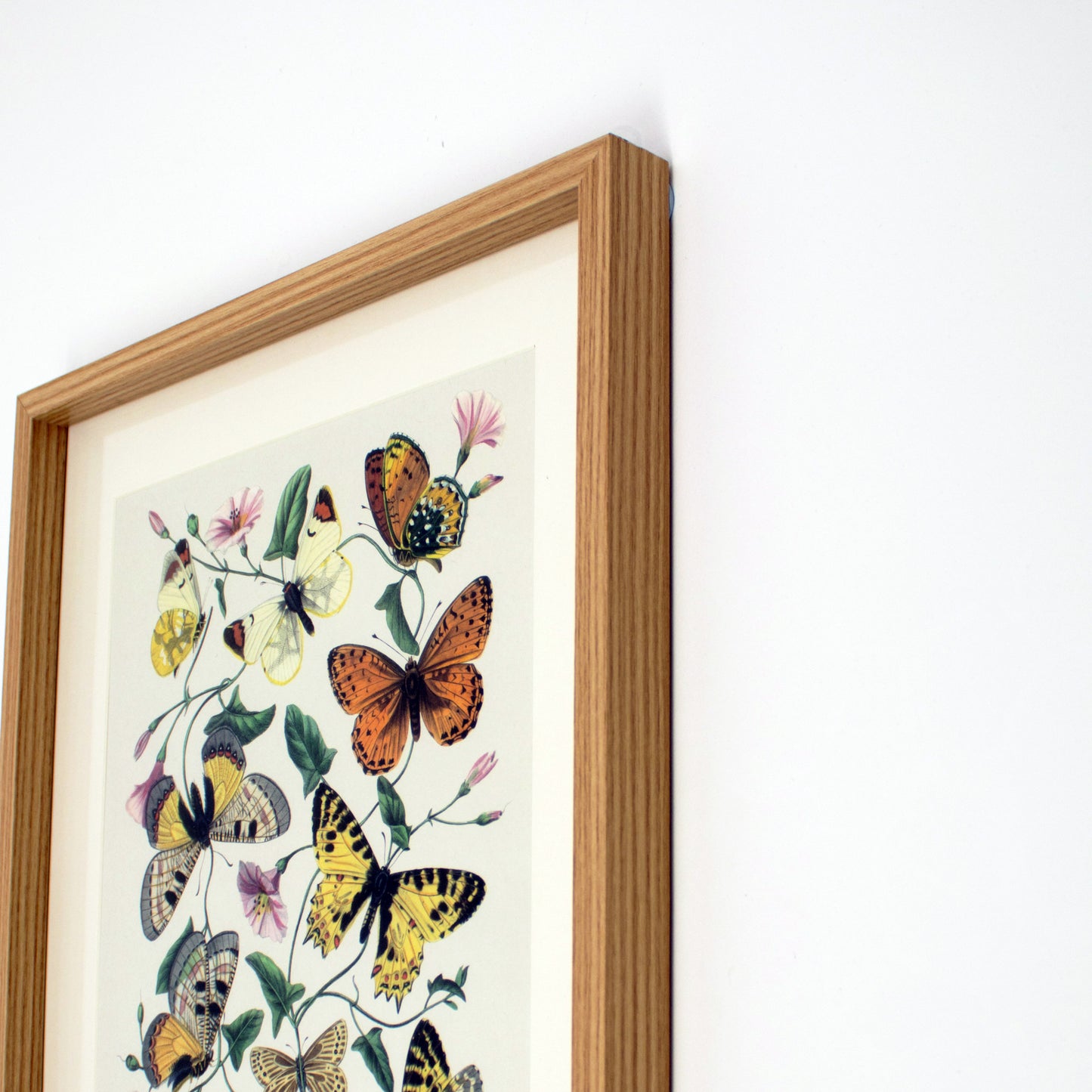 Framed Yellow Butterflies Wall Art