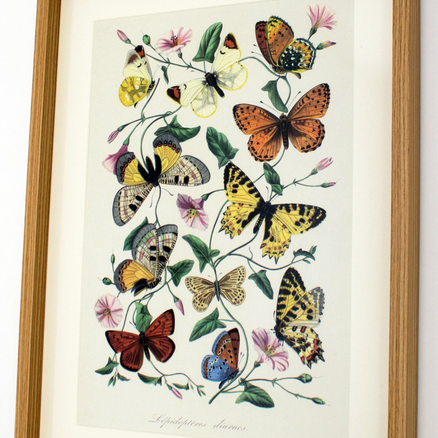 Framed Yellow Butterflies Wall Art