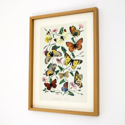 Framed Yellow Butterflies Wall Art