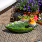 Robin On Leaf Garden Bird Feeder