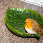 Robin On Leaf Garden Bird Feeder