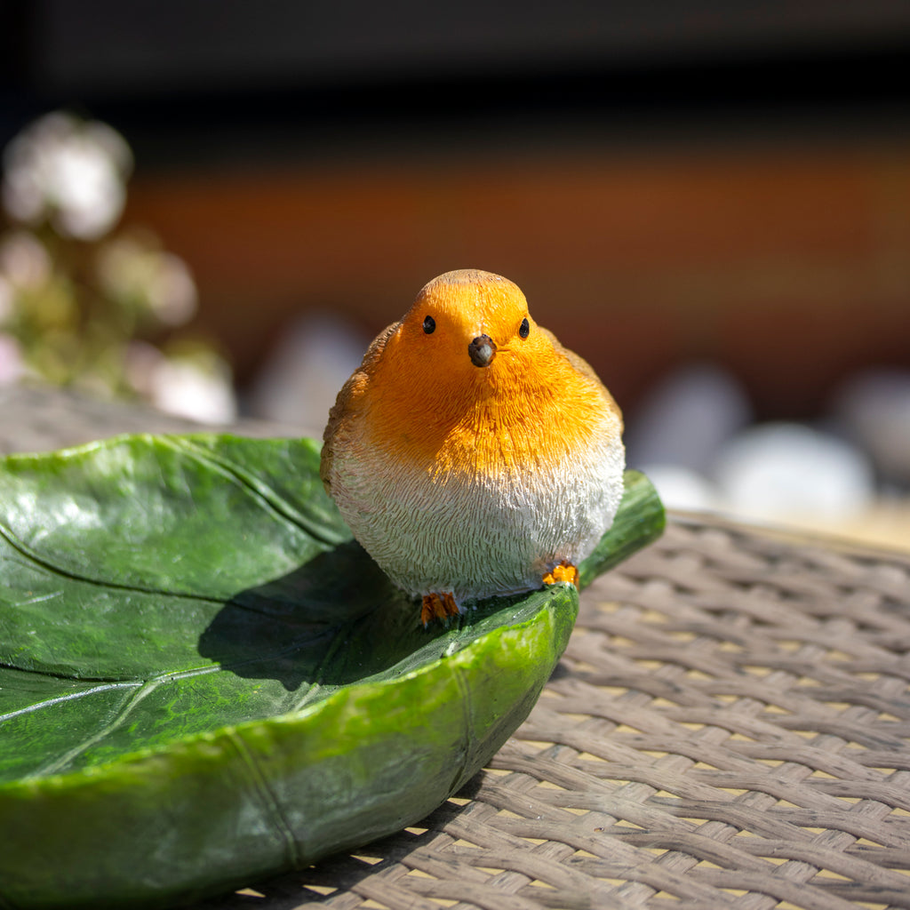 Robin On Leaf Garden Bird Feeder