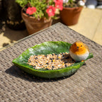 Robin On Leaf Garden Bird Feeder