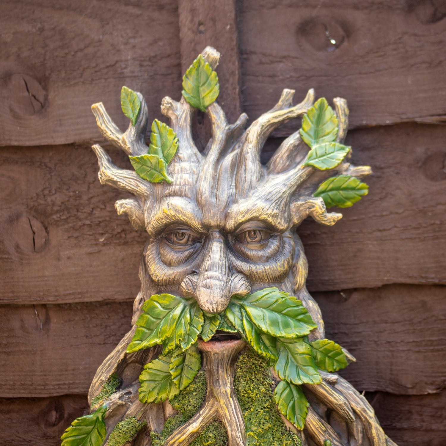 Ancient Mossbeard Green Man Wall Plaque