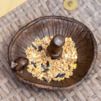 Rustic Cast Iron Snail On Mushroom Bird Feeder