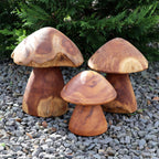 Set Of 3 Teak Root Mushroom Sculptures