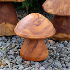 Set Of 3 Teak Root Mushroom Sculptures