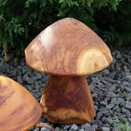 Set Of 3 Teak Root Mushroom Sculptures