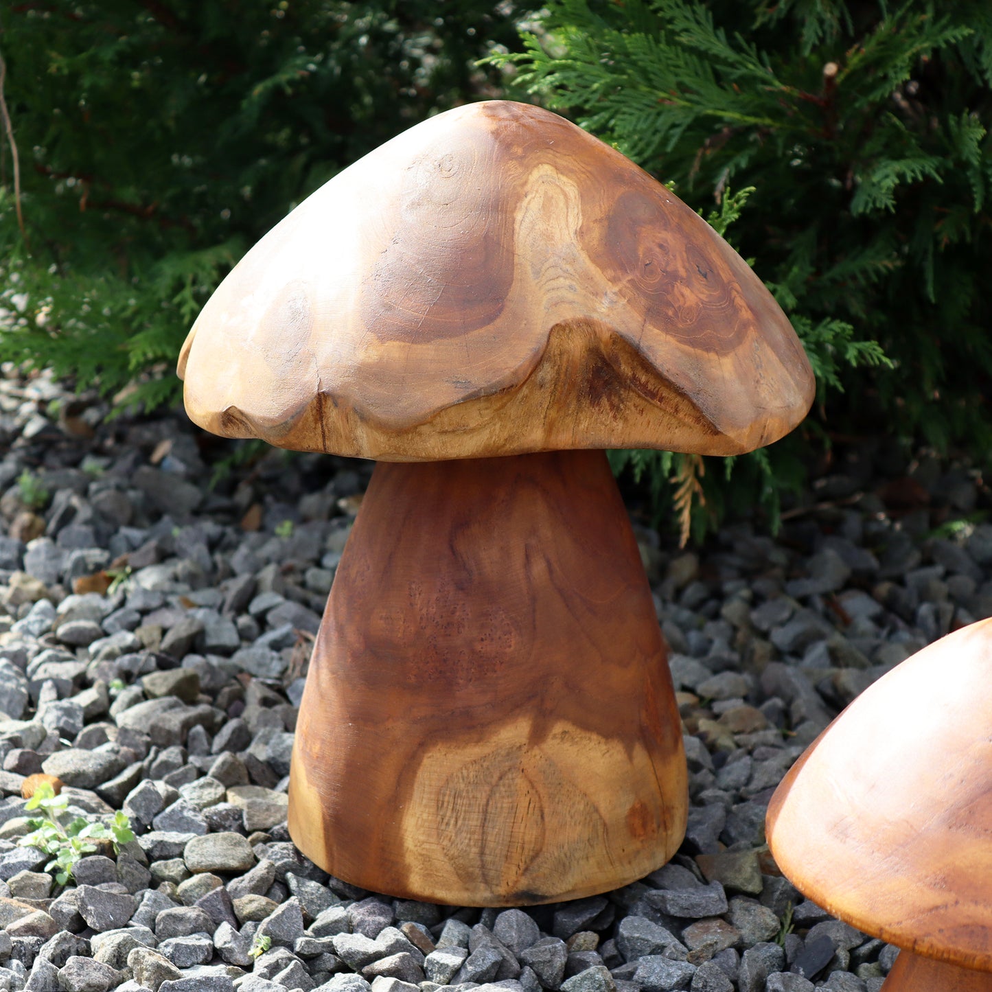Set Of 3 Teak Root Mushroom Sculptures