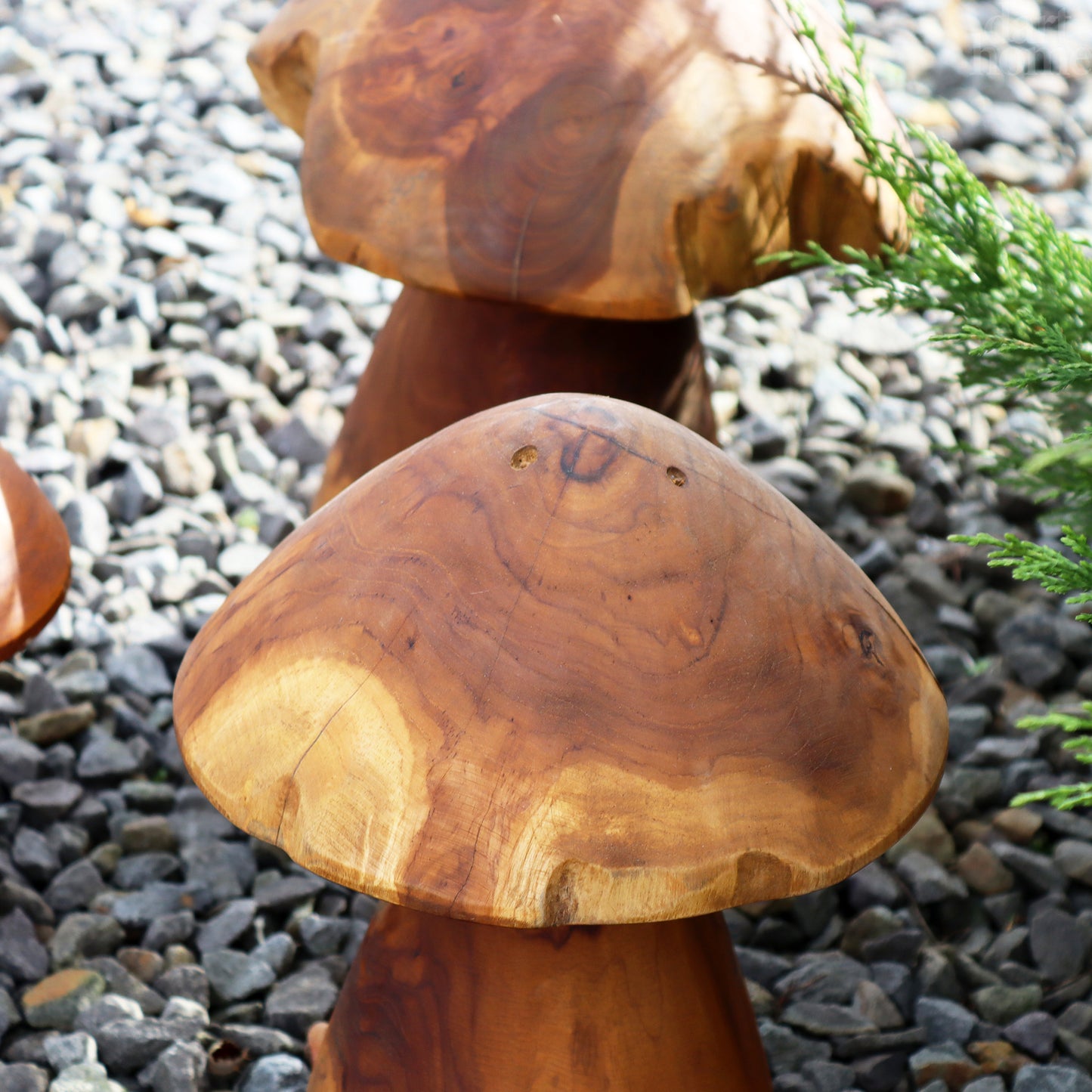 Set Of 3 Teak Root Mushroom Sculptures