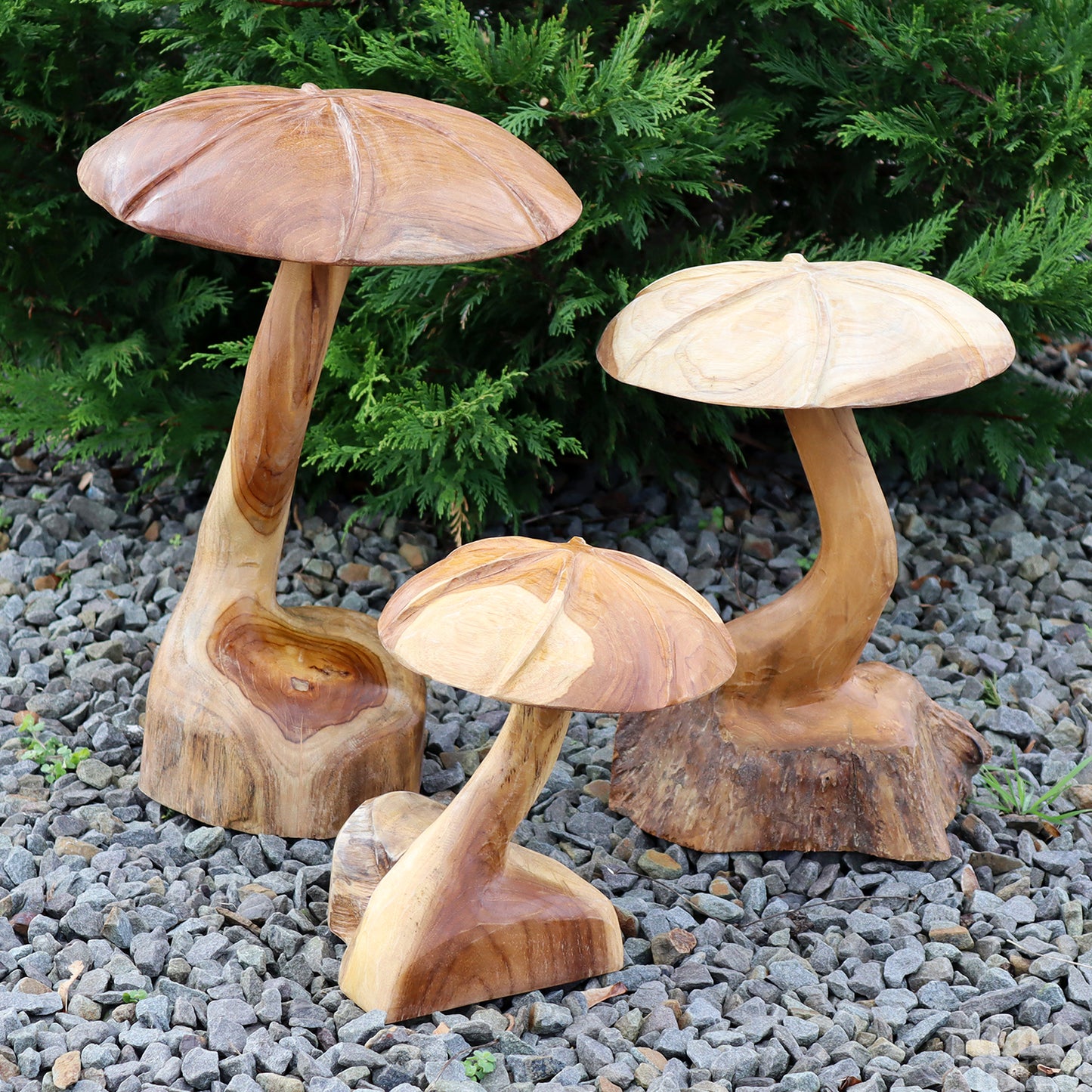 Set Of 3 Teak Root Wild Mushrooms