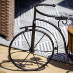 Black Metal Bicycle Coco Fibre Planter