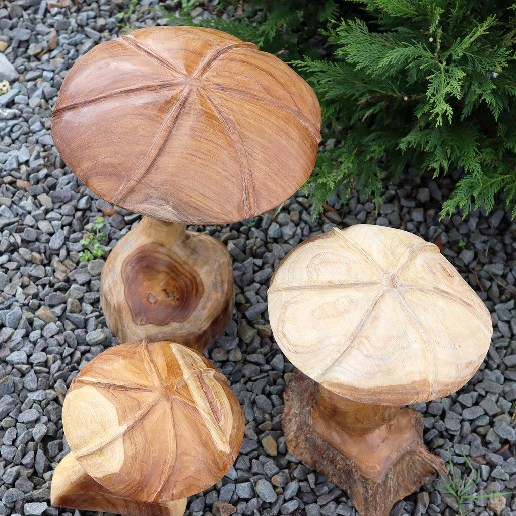 Set Of 3 Teak Root Wild Mushrooms