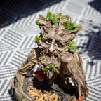 Woodland Green Man Bird Feeder
