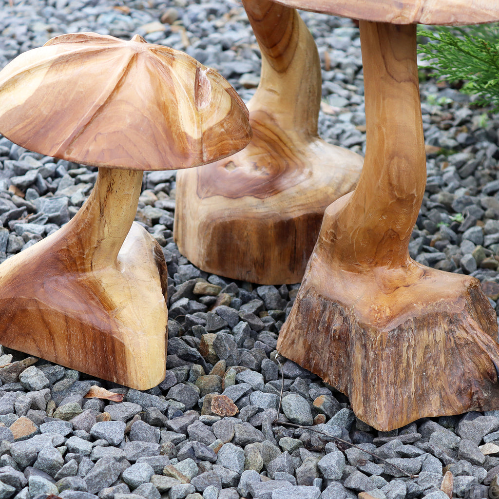 Set Of 3 Teak Root Wild Mushrooms