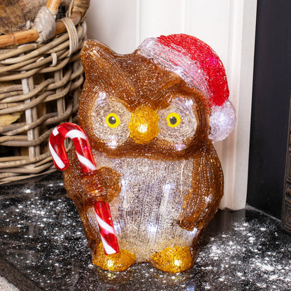 Acrylic Light Up Owl Figure